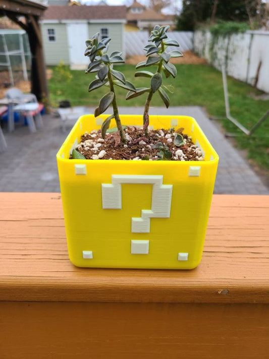 Super Mario Planter Box For Succulents