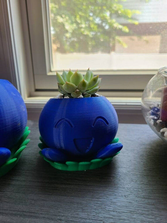 Pokémon Oddish Succulent Planter